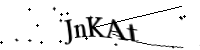 Enter the code below