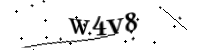 Enter the code below