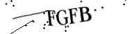 Enter the code below