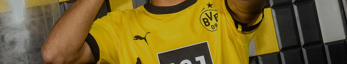 BORUSSIA DORTMUND